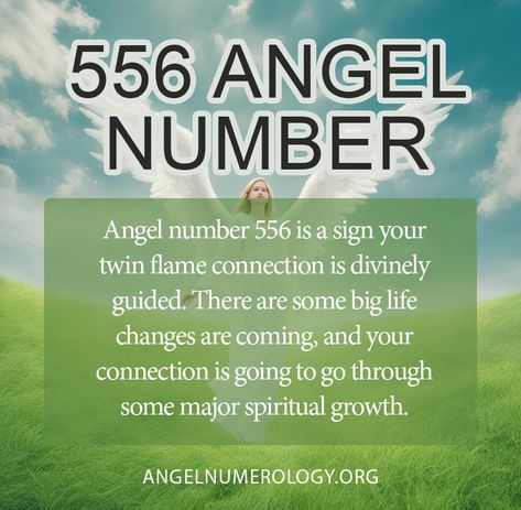 556 Angel Number Meaning, 556 Angel Number, Angel Number Meaning, Angel Number Meanings, Number Meanings, Twin Flames, Spiritual Meaning, Angel Number, Angel Numbers