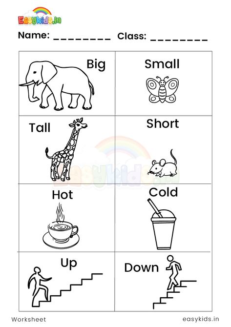 Opposite words worksheet - EasyKids.in Worksheet For Opposite Words, Opposite Lesson Plans Preschool, Opposites Worksheet Preschool, Opposite Activities For Preschool, Opposite Words Worksheet, Opposite Worksheet, Opposites Activity, Opposite Words For Kids, Worksheets For Playgroup