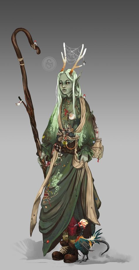 Mushroom Druid, Bog Witch, Dnd Druid, Medusa Art, Elf Druid, Wood Elf, Dungeons And Dragons Characters, Dnd Art, The Mushroom