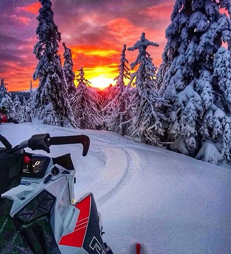 Gorgeous Curse Aesthetic, Snow Mobile, Cold Hearted, Winter Vibes, Blonde Beauty, Snowmobile, Sled, Motocross, Jdm