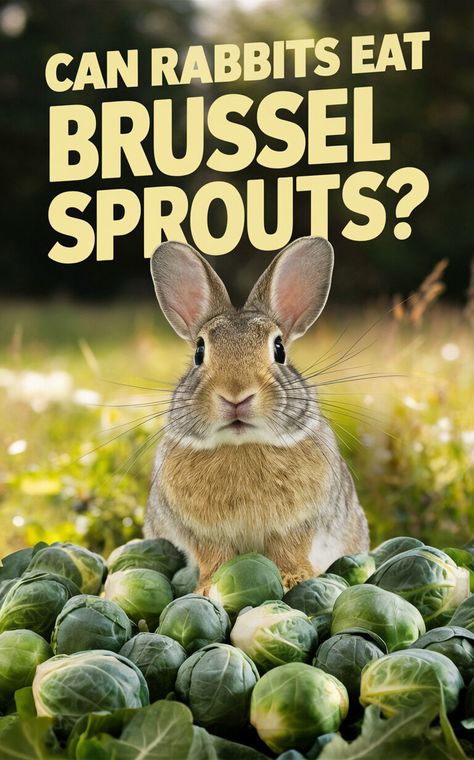 Discover if rabbits can safely enjoy Brussel sprouts 🐰🥦 #rabbitdiet #healthybunnies #petcare Gurgling Stomach, Bean Diet, Yogurt Diet, Apple Diet, Rabbit Habitat, Rabbit Diet, Bunny Care, Rabbit Eating, Watermelon Diet