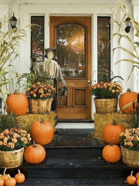 Porche Halloween, Outside Fall Decorations, Porch Inspiration, Outdoor Fall Decor Ideas, Pumpkins And Gourds, Dekorasi Halloween, Casa Halloween, Fall Front Porch Decor, Halloween Front Porch