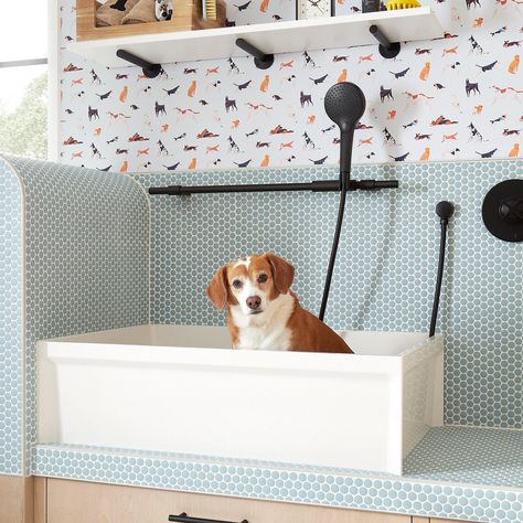 11 Upgrades for a Pet-Friendly Mudroom​ Washing Station, Pedestal Tub, Corner Toilet, Dog Washing Station, Japanese Soaking Tubs, Style Guide Design, Console Sink, Acrylic Tub, Dog Wash