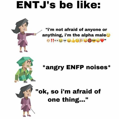 Mbti Enfp And Enfp Relationship, Entj X Enfp, Enfp Funny, Entj Infp, Entj And Enfp, Mbti Entj, Entj Relationships, Entj Enfp, Mbti Enfp