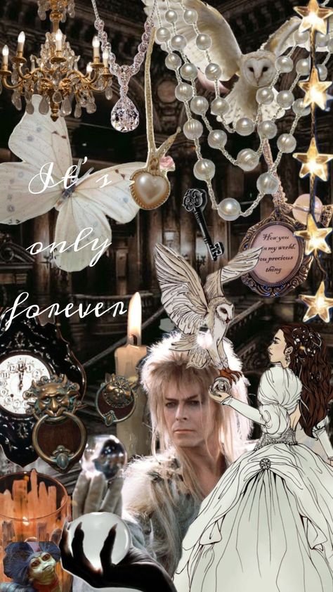 Labrynth Movie Aesthetic, Labyrinth Ball, Labyrinth Art, Labyrinth 1986, Labyrinth Movie, Movie Collage, Movie Themed Party, Aesthetic Lockscreens, Goblin King