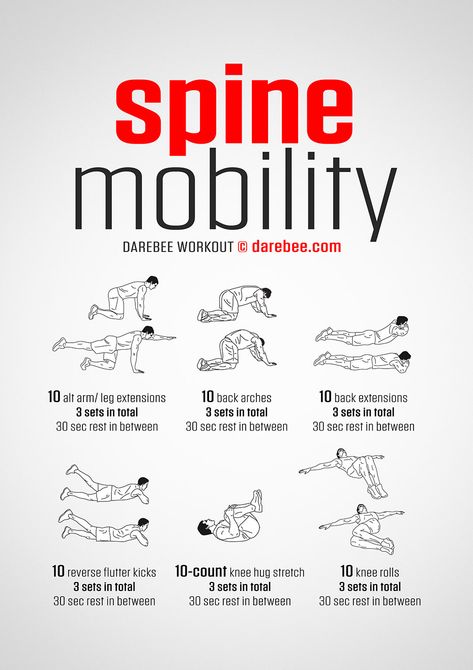 Exercise Poster, Spine Mobility, Mobility Workout, Shoulder Workouts, Bolesti Chrbta, Trening Sztuk Walki, Mobility Exercises, Workout Without Gym, Body Workout Plan