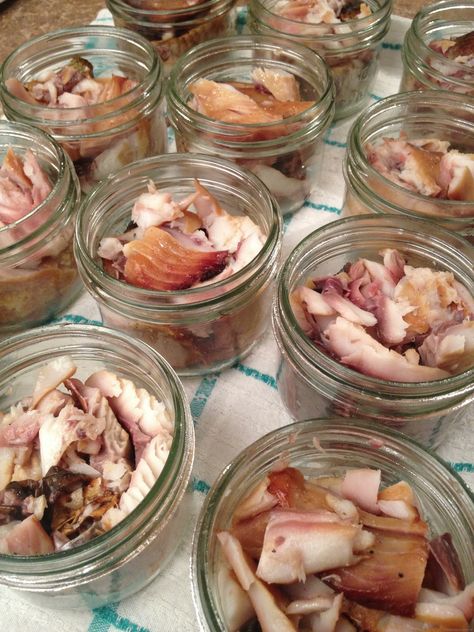 Canned Smoked Whitefish Smoked Fish Recipe, Bbq Smoker Recipes, Roast Chicken And Gravy, Beef Tenderloin Roast, Pressure Canning Recipes, Food Experience, Garden Food, Canadian Food, Smoked Fish