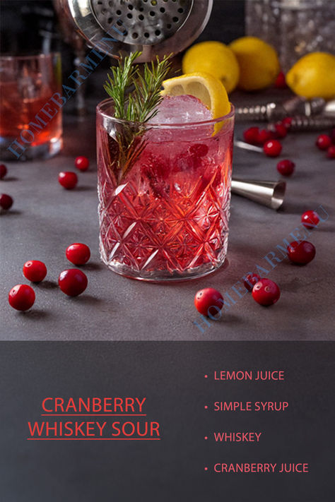 Cranberry Whiskey Sour, Whiskey Sour Cocktail, Cranberry Simple Syrup, Cocktail Recipes At Home, Introduction Paragraph, Yummy Alcoholic Drinks, Sour Cocktail, Whiskey Sour, Rum Cocktail