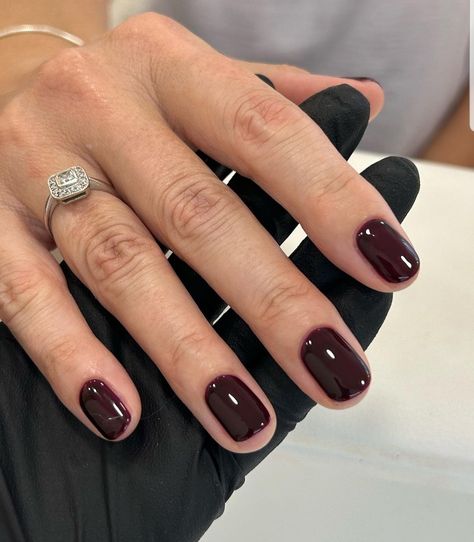 Cherry Mocha, Shellac Nails Fall, Toe Nail Color, Cherry Nails, Simple Gel Nails, Casual Nails, Shellac Nails, Dark Nails, Nails 2024