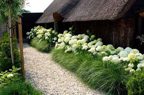 Hydrangea Landscaping, Patio Flowers, Ceramics Sculpture, Planting Design, Fountain Grass, Grasses Landscaping, Planting Plan, Have Inspiration, White Garden