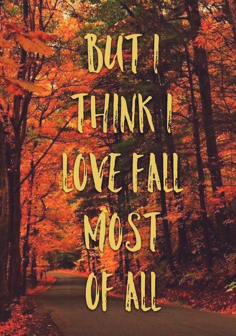 I KNOW I love Fall most of all!!!! Herbst Bucket List, I Love Fall, Autumn Scenes, Autumn Quotes, Autumn Scenery, Love Fall, Happy Fall Y'all, Autumn Beauty, Fall Pictures