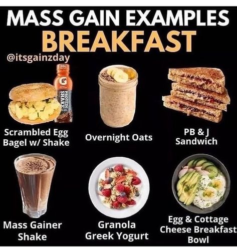 Bulking Meals, Mass Gain, Bodybuilding Women, Healthy Weight Gain Foods, Food To Gain Muscle, Meal Planning Menus, Weight Gain Diet, Breakfast Shakes, Weight Gain Meals