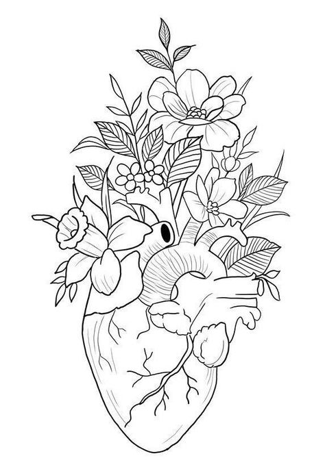 Anatomical Heart Art, Anatomical Heart Tattoo, Diy Home Decor Ideas, Outline Drawings, Home Decor Projects, Coloring Book Art, Tattoo Stencils, Diy Home Decor Projects, Cool Art Drawings