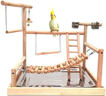 Cockatoo Toys, Bird Play Gym, Conure Bird, Diy Bird Toys, Parrot Stand, Conure Parrots, Budgies Bird, Budgie Parakeet, Bird Aviary