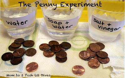 The Penny Experiment, early science type experiment for the boys this summer. Penny Experiment, Science Experiments Kids Elementary, Science Experience, Early Science, Science Activity, Kid Experiments, Fair Projects, Kindergarten Science, Science Fair Projects