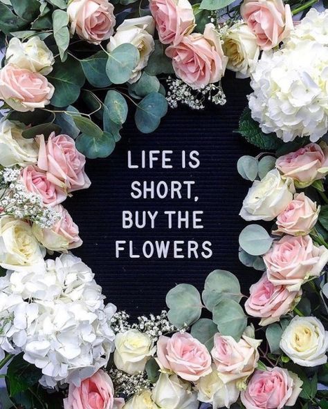 life is short buy the flowers quote Flowers Quotes Love, Flower Quotes Love, Pink Hydrangeas, Flowers Quotes, Felt Letters, Garden Quotes, Love Inspiration, Flower Quotes, Flowers Online