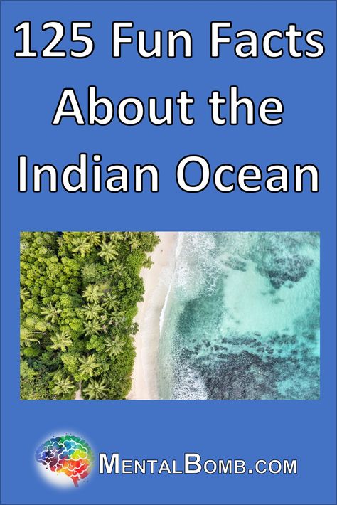 Over 125 fun facts about the Indian Ocean, plus all about it's geography, plants, animals, people, cultures, legends, and so much more! #FunFacts Fun Facts About India, Unbelievable Facts About India, Fun Facts About Sea Animals, Fun Facts About Octopus, Unknown Facts About India, Intresting Facts, Indian Ocean, Trivia, Geography