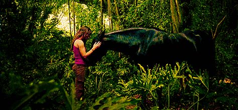 kate-lost-black-horse.gif (500×233) Evangeline Lilly Lost, Super Movie, Evangeline Lilly, Black Horse, X Files, Dark Horse, New Beginnings, Garden Sculpture, Gif