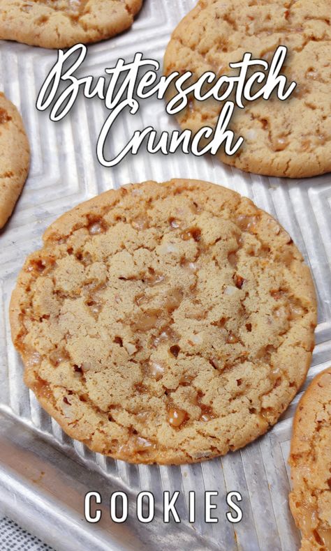 Butterscotch Crunch Cookies! An old-fashioned cookie recipe with brown sugar and toffee bits for double the butterscotch flavor and toasted pecans for crunch. Freeze and cut for picture-perfect cookies any time you have a craving! Chewy Butterscotch Cookies, Things To Make With Butterscotch Chips, Butterscotch Shortbread Cookies, Best Ever Cookies, Crunchy Cookie Recipes, Recipes With Powdered Sugar, Unique Cookies Recipes, Unique Cookie Flavors, Caramel Crunch Cookies