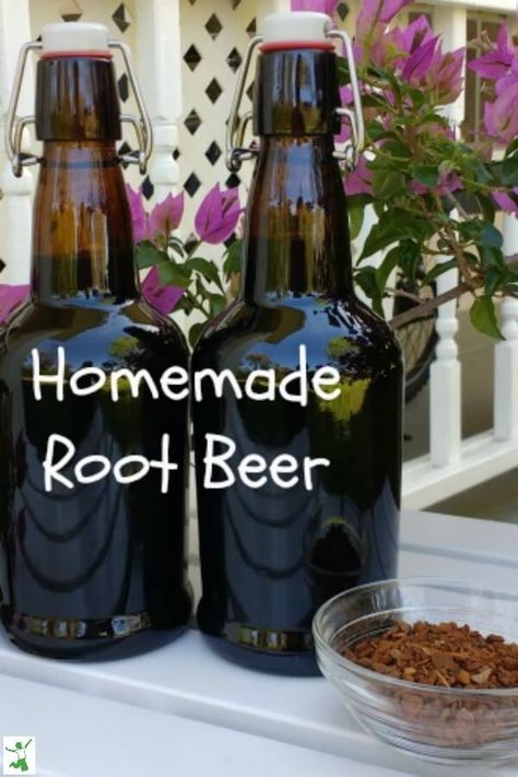 A favorite fermented drink in our house is homemade root beer. This easy to make recipe can be made right in your home! This bubbly soda has lots of natural benefits and probiotics. #homemade #rootbeer #drinks #diy #recipe #fermented #healthy #thehealthyhomeecnonomist Homemade Root Beer, Sassafras Root, Root Beer Recipe, Root Beer Bottle, Homemade Rootbeer, Homemade Soda, Fermented Drink, Healthy Drinks Recipes, Fermented Foods