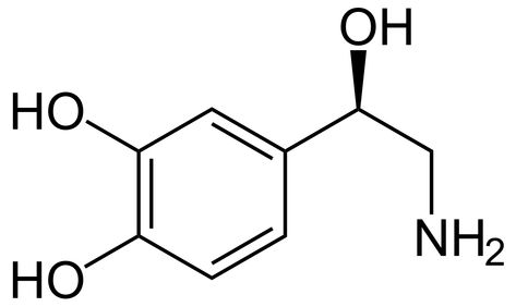 Catecholamine - Wikipedia Sympathetic Nervous System, Addisons Disease, Tattoo Themes, Medical Studies, Memory Storage, Chemical Formula, Emergency Medicine, Central Nervous System, Invisible Illness