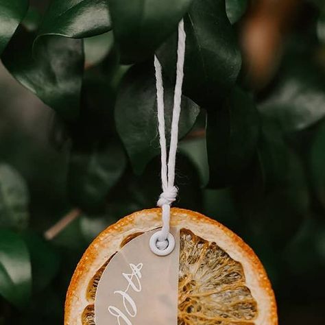 Dried Orange Seating Chart, Unique Seating Chart, Unique Seating, Ra Ideas, Woodsy Wedding, Orange Slice, Dried Orange Slices, Dried Oranges, Minimalist Wedding Invitations