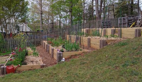 Flowers In Raised Beds, Garden On A Slope, Terraced Vegetable Garden, Terraced Garden, Vegetable Garden Planner, Planner Review, Potager Garden, Veggie Patch, Sloped Garden