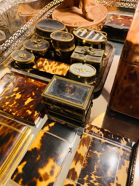 Vignette of french and english tortoise shell box. Tortoise Shell Aesthetic, Shell Aesthetic, Shell Display, Small Table, Trends 2024, Vintage Images, Victorian Era, Tortoise Shell, Tortoise