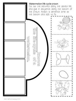 Watermelon Life Cycle by Fun and Learning | Teachers Pay Teachers Watermelon Life Cycle Printable Free, Watermelon Life Cycle, Teaching Kindergarten, Cut And Paste, Popular Tattoos, Life Cycle, Science For Kids, Life Cycles, School Days