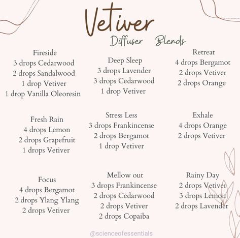 Vetiver Diffuser Blends, Doterra Diffuser Blends, Essential Oil Combinations, Vetiver Essential Oil, Essential Oils Collection, Essential Oil Diffuser Blends Recipes, Essential Oils Guide, Diy Aromatherapy, Essential Oil Diffuser Recipes