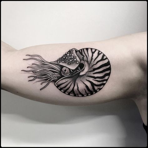 Aquatic Tattoo, Nautilus Tattoo, Shell Tattoos, Octopus Tattoos, Sea Tattoo, Ocean Tattoos, Fire Tattoo, Grey Tattoo, White Tattoo