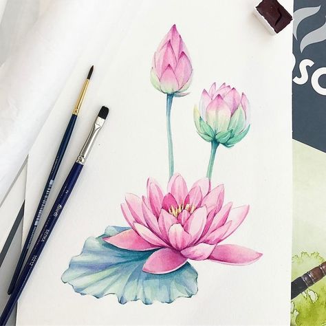 Ako Kresliť, Watercolor Lotus, Aquarelle Painting, Lotus Painting, Floral Composition, Paint Flowers, Lotus Art, Watercolor Tutorials, Floral Drawing