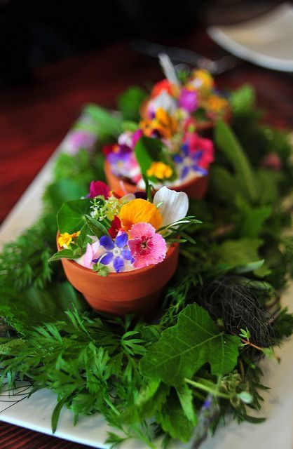 Salads Ideas, Potted Lavender, Edible Flowers Recipes, Spring Entertaining, Dandelion Jelly, Themed Dinner, Dandelion Recipes, Flower Food, Plated Desserts