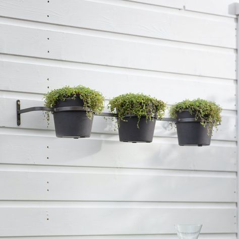 Create a beautiful botanical indoor or outdoor wall display with the Triple Stratton Wall Pots and Holder. Available in our three classic Stratton colours of Carbon, Stone and Warm Stone, pot up with succulents, herbs and small plants in the kitchen, shed or above outdoor potting tables. Black Plant Pots, Wall Pots, Bee Friendly Flowers, Pot Wall, Black Plant, Wall Planters, Cement Color, Potting Tables, Hydrangea Not Blooming