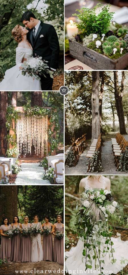 Twilight Inspired Wedding Ceremony, Twilight Themed Wedding Invitations, Glam Forest Wedding, Nature Inspired Wedding Decorations, Vine Themed Wedding, Natural Forest Green Wedding, Spring Woodsy Wedding, Forest Core Wedding, Twilight Wedding Invitation