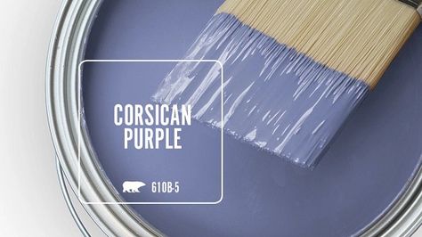 CORSICAN PURPLE 610B-5 | Behr Paint Colors Fairytale House Interior, Behr Blue, Lakeview House, Hunt House, Behr Paint Colors, Fairytale House, Blue Gray Paint, Paint Color Inspiration, Behr Paint