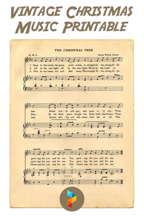 O Christmas Tree Sheet Music, Old Christmas Songs, Piano And Guitar, Xmas Songs, Printable Things, Song Ideas, Music Christmas, Christmas Sheet Music, Sheet Music Art