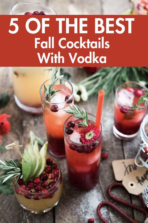 These are simply the best fall cocktails with vodka I have ever tried! They are so simple and delicious you will love every single recipe.