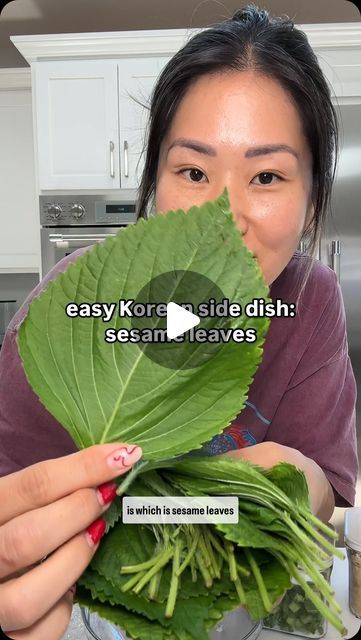 Kat Chao on Instagram: "make this banchan then have a kbbq night at home - wrap with rice and some meat and it’s a party in your mouth 😛  sesame leaf banchan ⬇️:  Bundle of sesame leaves 2 tbsp fish sauce 2 tbsp sweetener (I used agave) 2 tbsp sesame seeds 2 tbsp gochugaru (Korean chili flakes) 1 tbsp minced garlic 2 green onions diced  Mix all together and spread on each leaf layering it inside of a Tupperware. Refrigerate for 2-5 days before eating. Wrap in rice or protein of choice.   #banchan #korean #koreanfood #koreansidedishes #sidedish #easyrecipes #koreanrecipes #sesameleaves #viralfood #kbbq" Korean Banchan Recipes, Korean Dinner Ideas, Banchan Recipe, Korean Pork Belly, Korean Meals, Korean Chili Flakes, Korean Chili, Korean Pork, Vietnamese Style