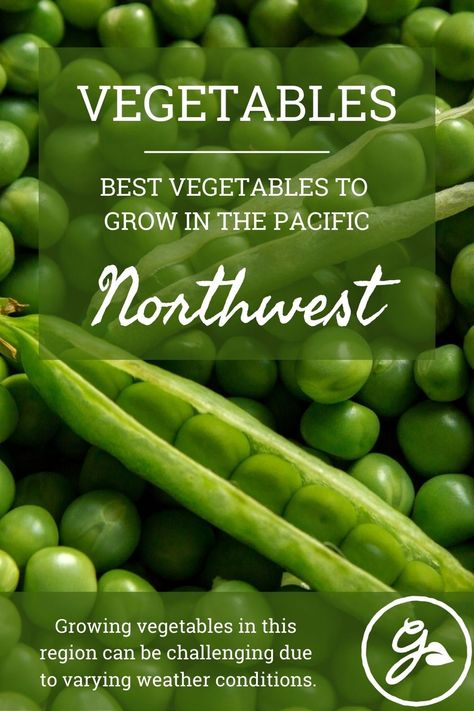 The following article contains information on vegetable gardening in the Pacific Northwest along with some of the easiest vegetables to grow in the area. Washington Gardening Pacific Northwest, Pacific Northwest Vegetable Garden, Pacific Northwest Gardening, Oregon Gardening, Vegetable Garden Planting Guide, Pnw Gardening, When To Plant Seeds, Easiest Vegetables To Grow, Best Vegetables To Grow