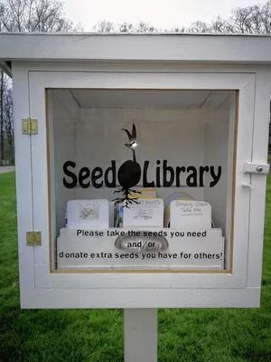 Little Seed Library sows hope for growth in Gahanna Seed Library Ideas, Seed Library, Library Cabinet, Seed Vault, Raising Bees, Seed Balls, How To Make Salsa, Staff Directory, Book Exchange