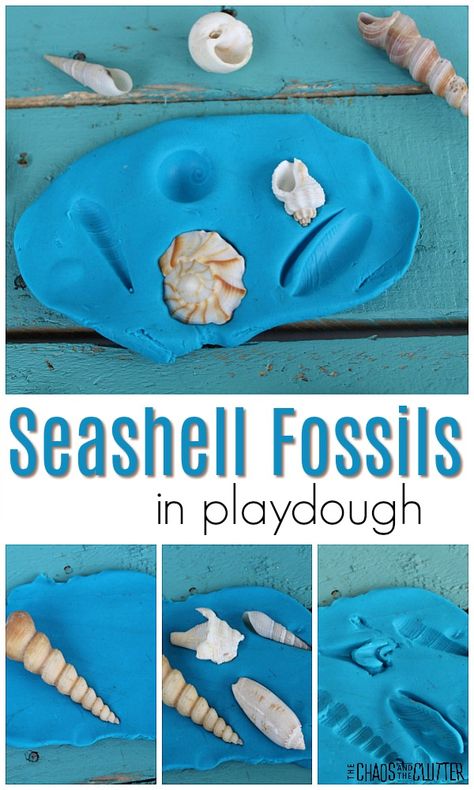 Under The Sea Social Emotional Activities, Seaweed Activities For Preschool, Seashell Preschool Craft, Ocean Art Preschool Activities, Reggio Ocean Activities, National Sea Week Activities, Under The Sea Playdough, Ocean Animals Sensory Activities, Infant Ocean Activities