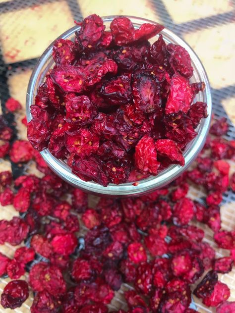 Homemade Dried Cranberries, Homemade Craisins, Canning Basics, Easy Peel Hard Boiled Eggs, Dried Cranberries Recipes, Hard Boiled Eggs Easy Peel, Homemade Instant Oatmeal, Easy Peel Eggs, Peeling Hard Boiled Eggs