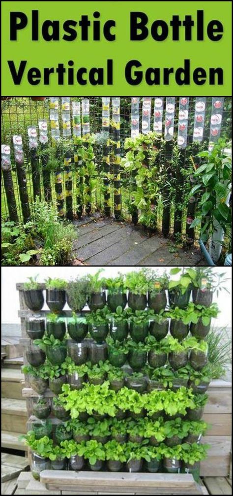 DIY-Vertical-Garden-Ideas-for-Indoors-and-Outdoor-plastic-bottle-garden-ideas-Plastic bottles art and recycling-Plastic bottle planter ideas Growing Herbs At Home, Vertical Container Gardening, Diy Garden Landscaping, Vertical Vegetable Gardens, Beginners Landscaping, Plastic Garden, Vertical Vegetable Garden, Vertical Herb Garden, Vegetable Garden Diy