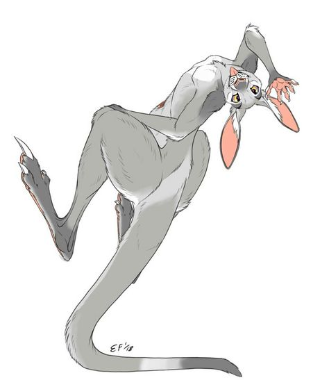 Anthro Kangaroo, Kangaroo Character Design, Kangaroo Fursona, Kangaroo Character, Kangaroo Art, Creature Drawings, Anime Animals, Animal Sketches, Pics Art