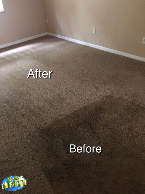 When your carpets need a heavy duty cleaning, give us a shout! Our hot water extraction cleaning service is the most effective method for carpet cleaning Kissimmee FL! Check out our website for some helpful info!  #CarpetCleaningKissimmeeFL 407-947-6724 https://www.google.com/maps/d/embed?mid=1ew9t1jDthO-sNmalFacenaxeqXwUijBN Affordable Carpet, Cleaning Services Company, Cleaning Crew, Carpet Cleaning Hacks, Carpet Cleaning Company, Carpet Cleaning Service, Cleaning Company, Pet Cleaning, House Cleaning Services