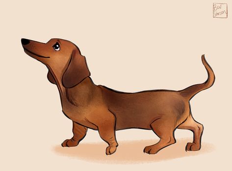 Bev Johnson, Dog Design Art, Dachshund Illustration, Character Design Illustration, Dachshund Dogs, Dachshund Art, Childrens Books Illustrations, Disney Concept Art, Clip Studio Paint