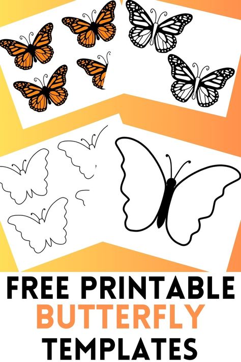 butterfly templates in three different sizes with monarch butterflies, butterfly outlines, and simple butterflies. Butterfly Patterns Printable Templates, Butterfly Template Free Printable, Free Butterfly Template, Crafts Butterfly, Butterfly Shapes, Butterfly Party Decorations, Printable Butterfly, Butterfly Lamp, Butterfly Cutout