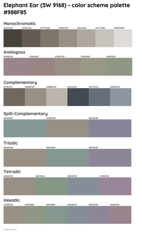 Benjamin Moore Carolina Gull, Carolina Gull, Draw A Hexagon, Analogous Color Scheme, Rgb Color Codes, Split Complementary Colors, Rgb Color Wheel, Monochromatic Color Palette, Interior House Colors