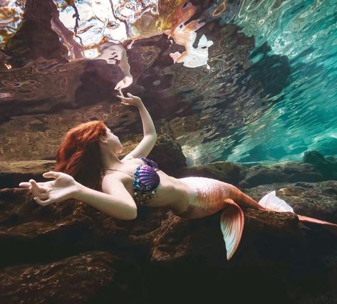 Goldfish on Instagram: “Imagine how is touch the sky ✨ . Okay does it look to anyone else like I’m making this ripple of brown overtake the blue of the water or is…” Denver Aquarium, Mermaid Photography, H2o Mermaids, Mermaid Cove, Mermaid Photos, Mermaid Swimming, Real Mermaids, Mermaid Pictures, Mermaid Aesthetic